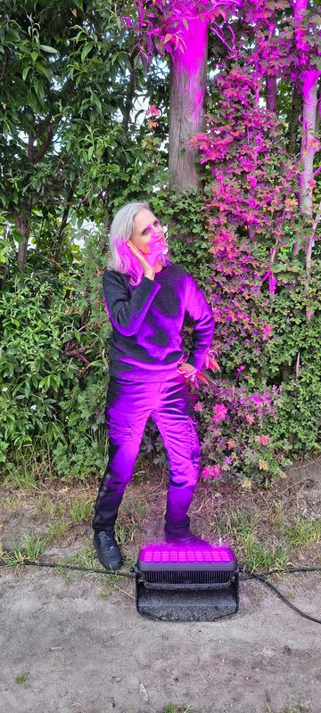 Nikola im pinken Licht